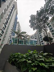 Jalan Ahmad Ibrahim (D22), Condominium #579757241
